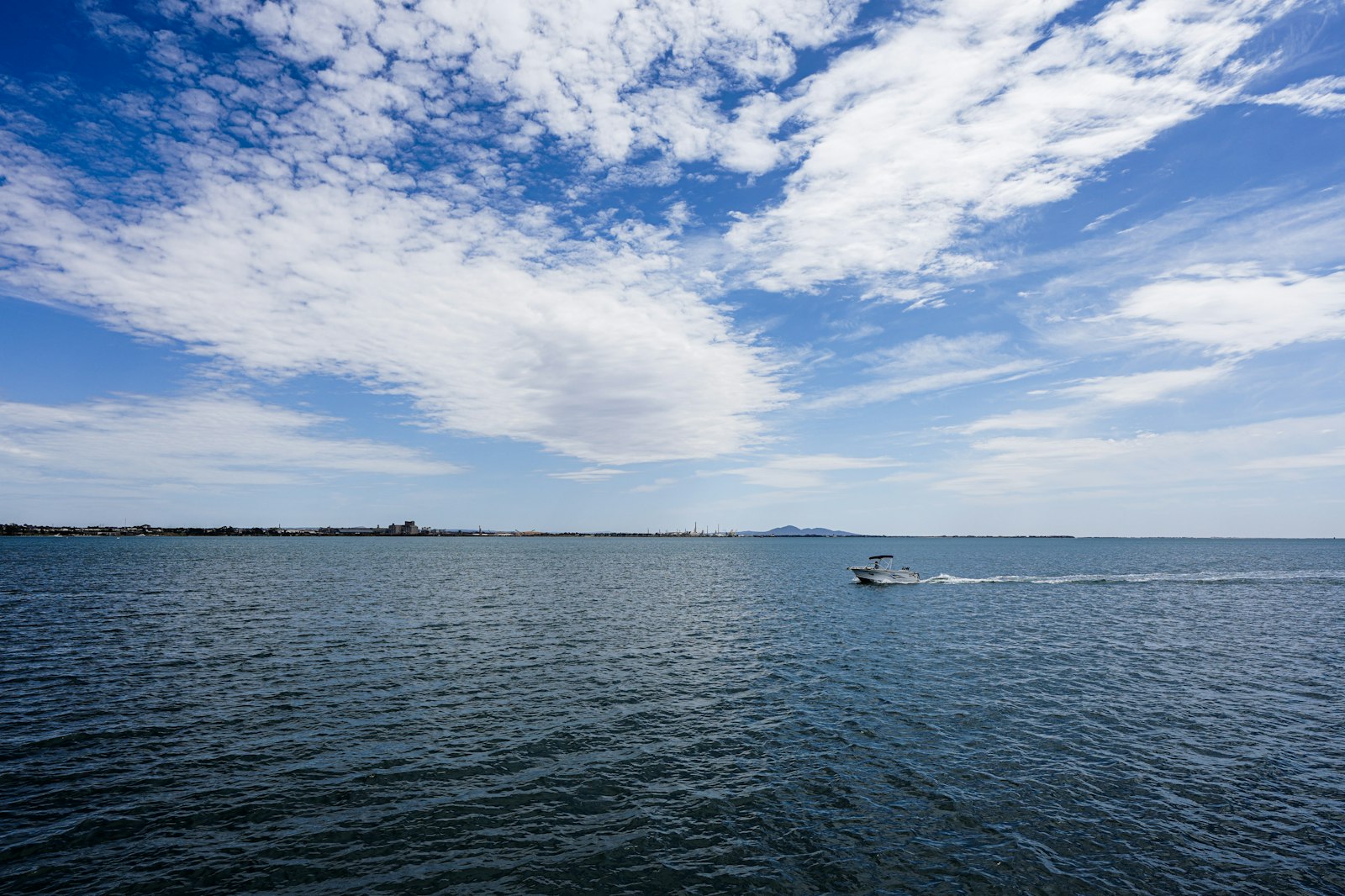 Geelong skyline