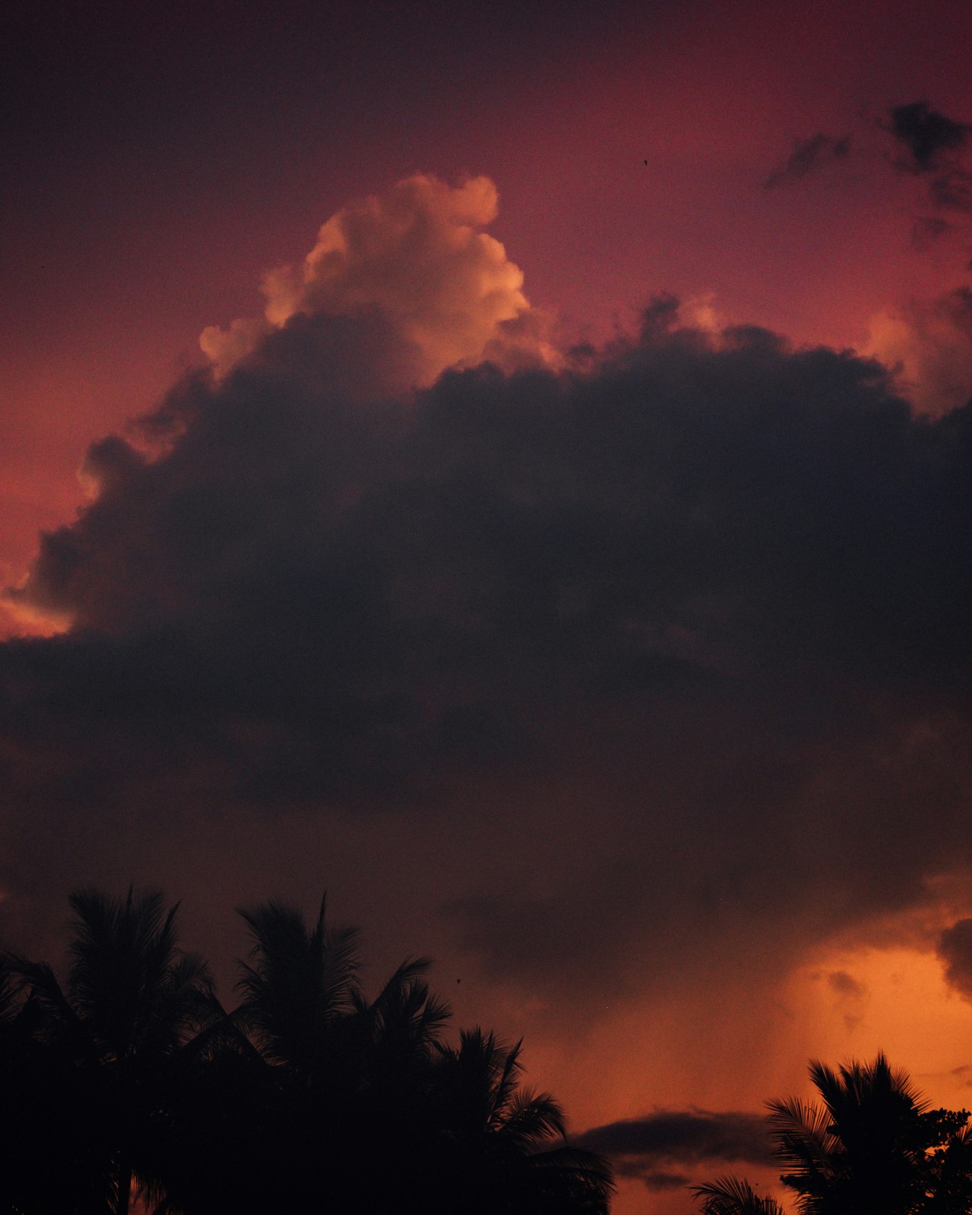 Cairns North, Cairns