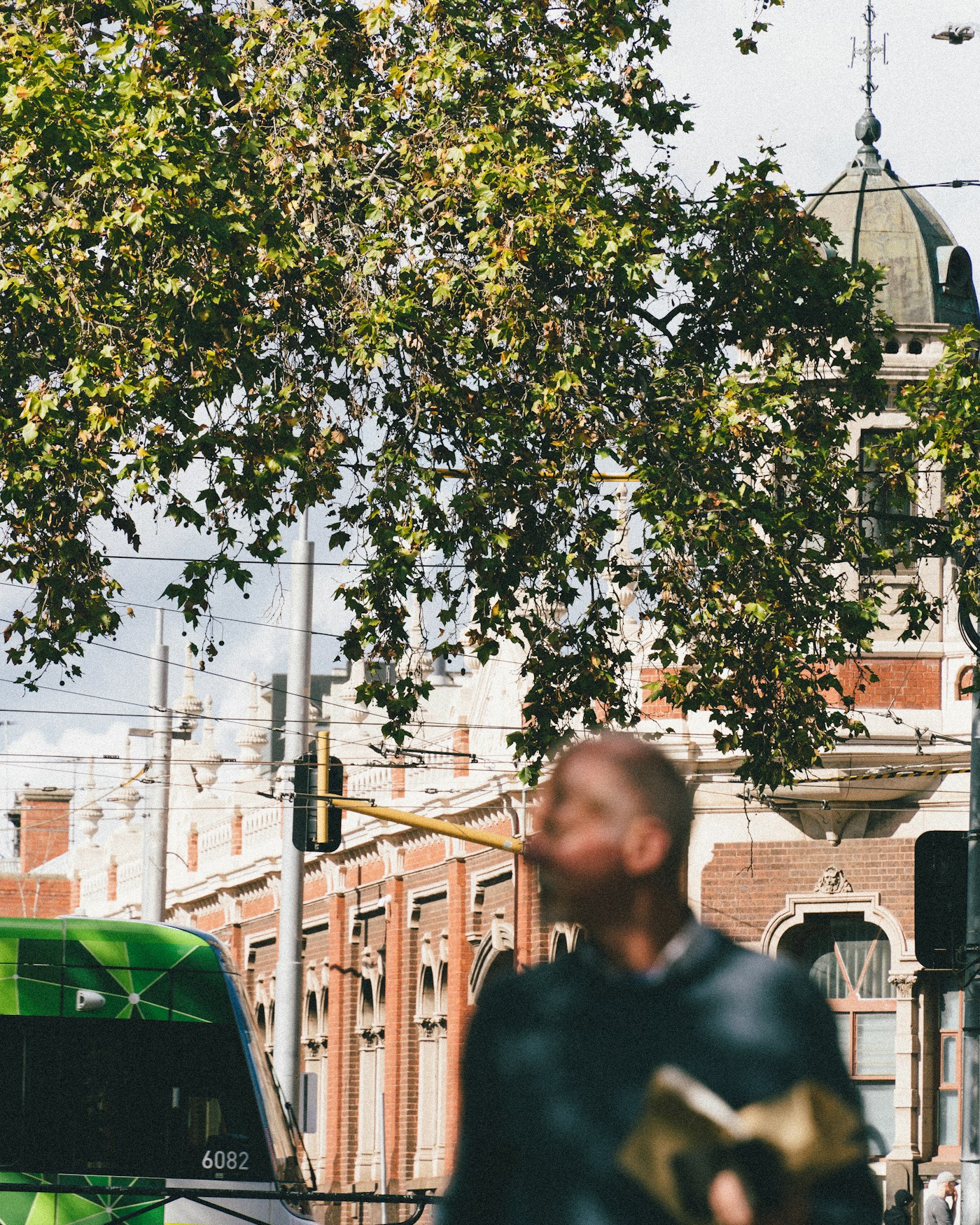 Carlton, Melbourne
