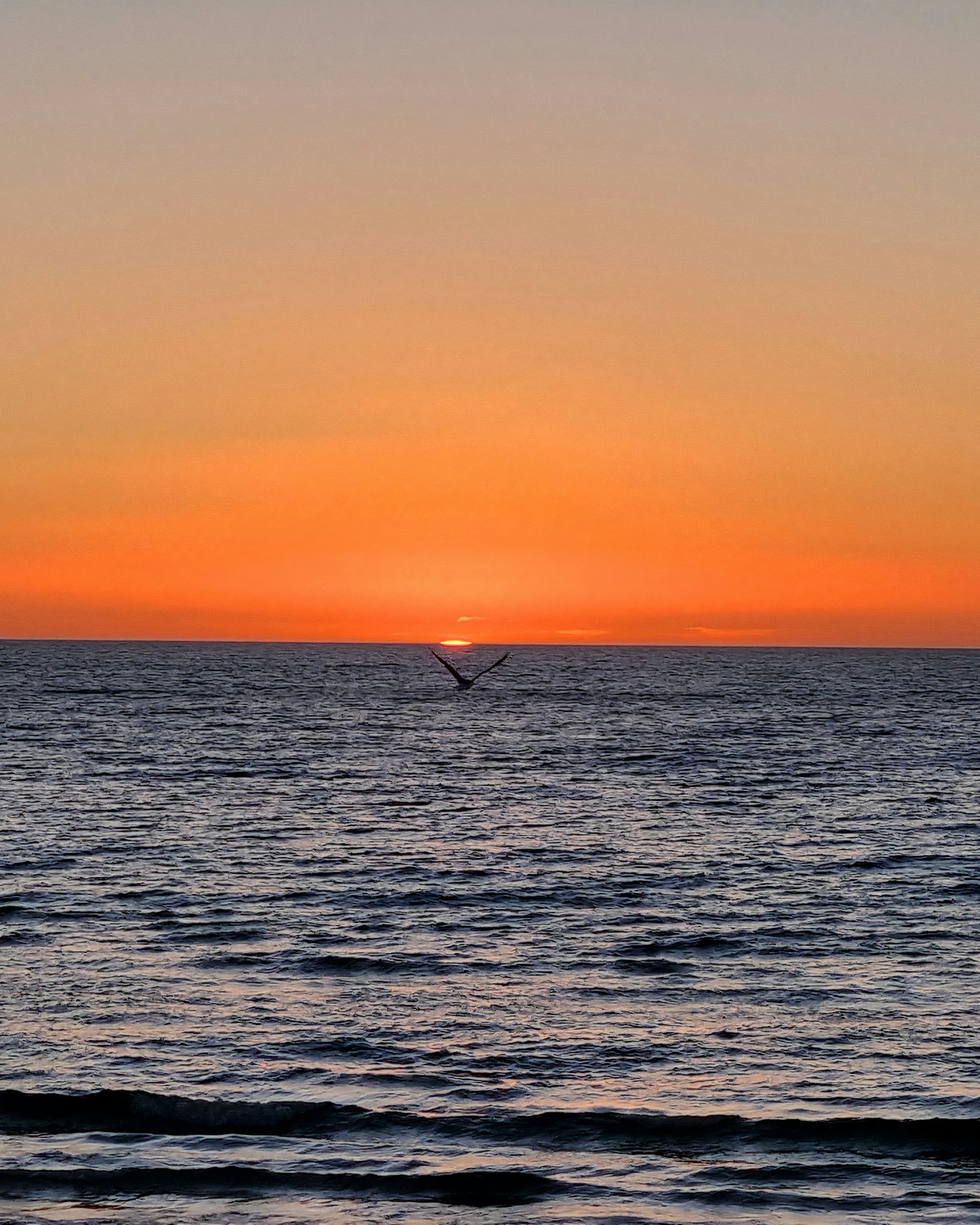 Glenelg, Adelaide