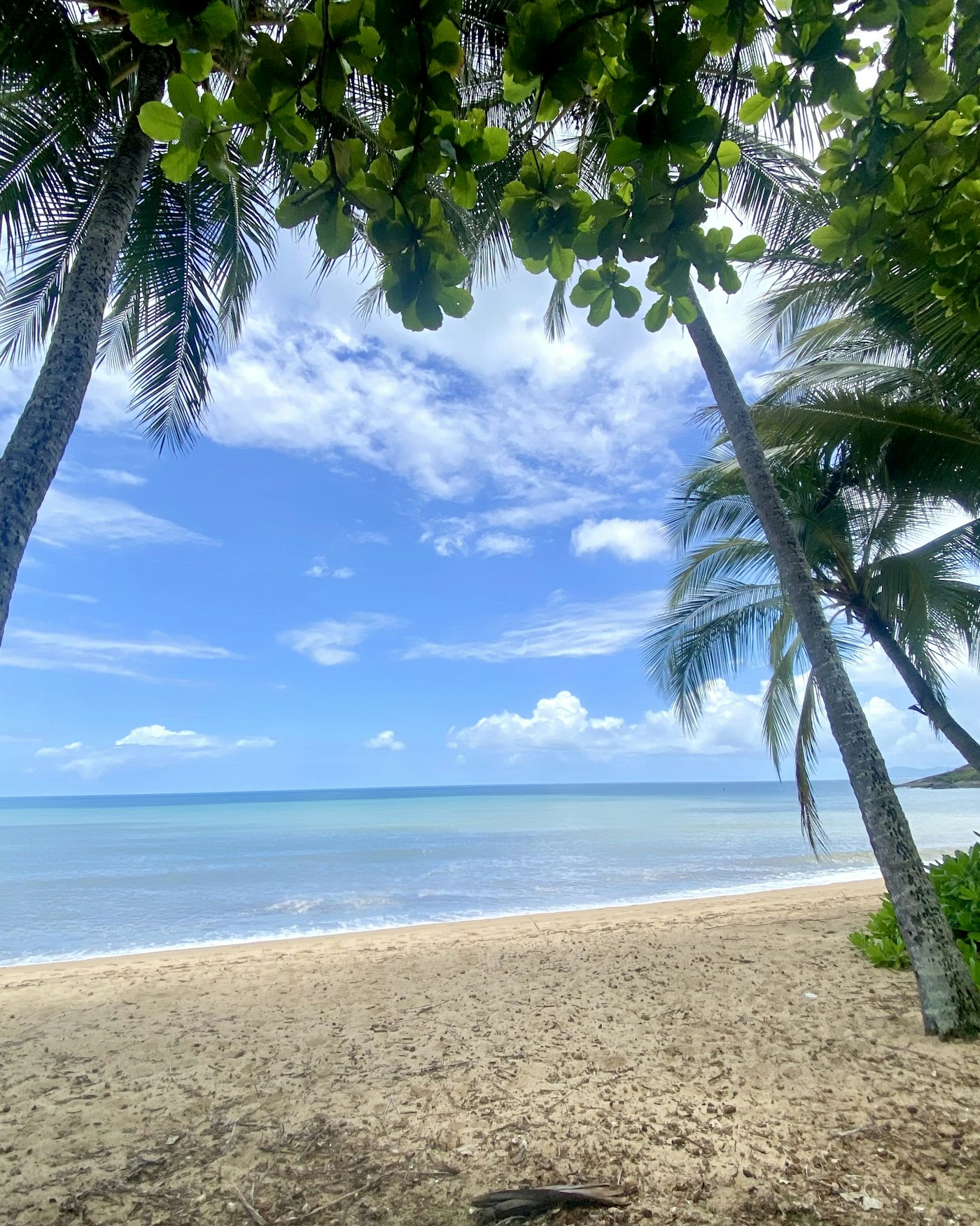 Trinity Beach, Cairns